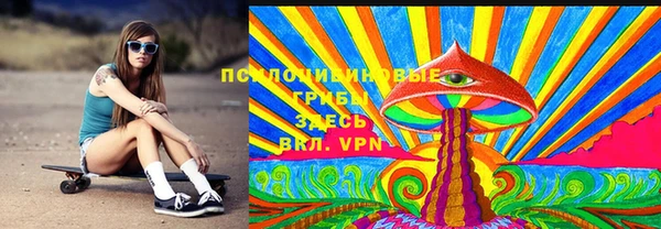 молекула духа Алексин