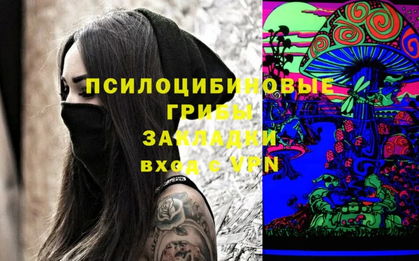 молекула духа Алексин